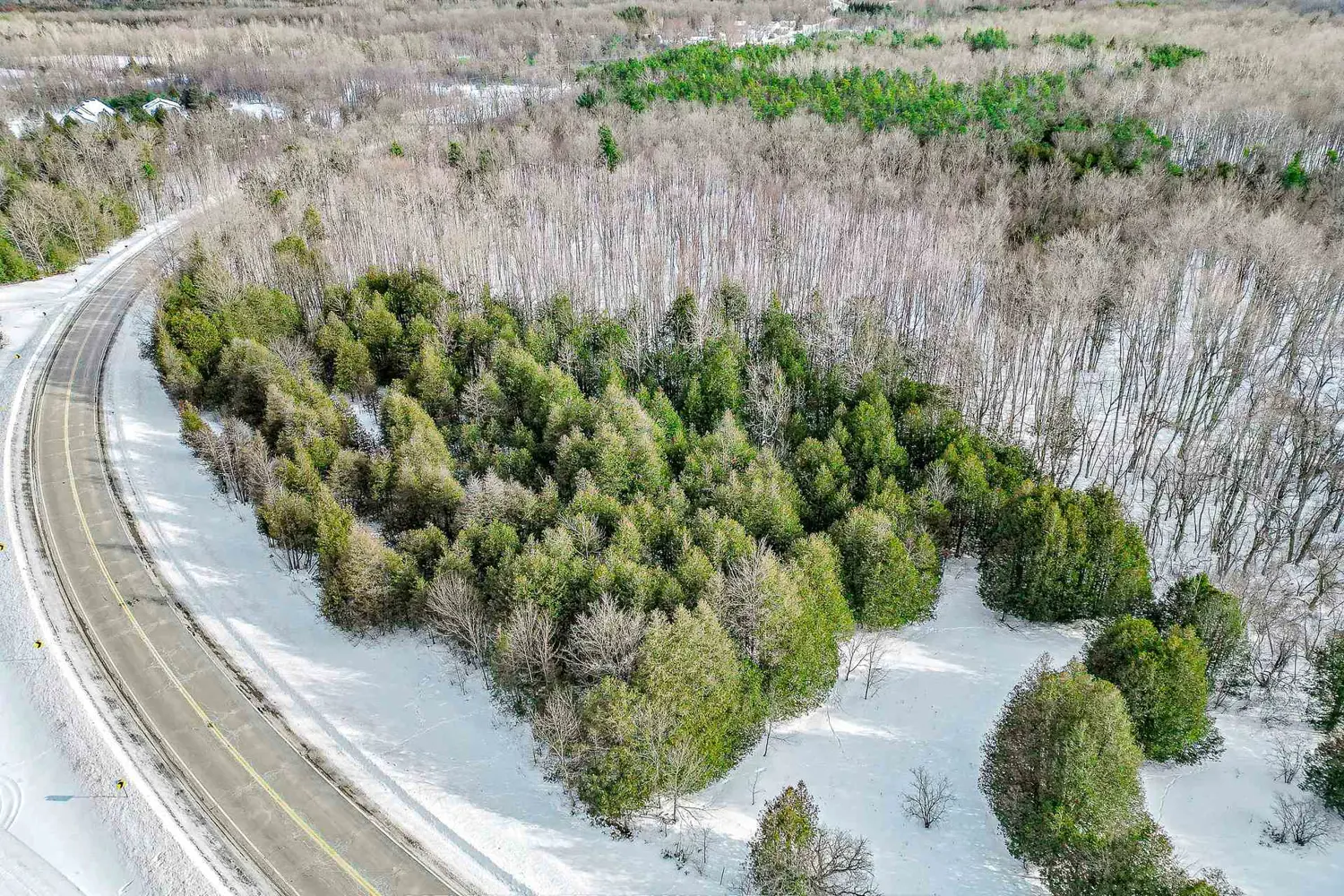 Additional image 4 of 7401 County Road 21 Acres