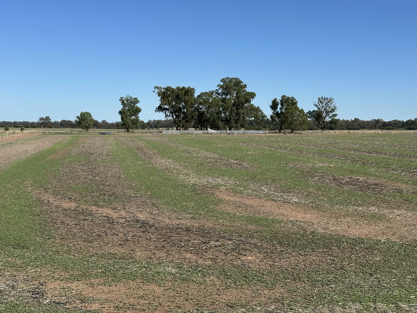 Additional image 15 of . Lilydale Road, Balldale NSW 2646