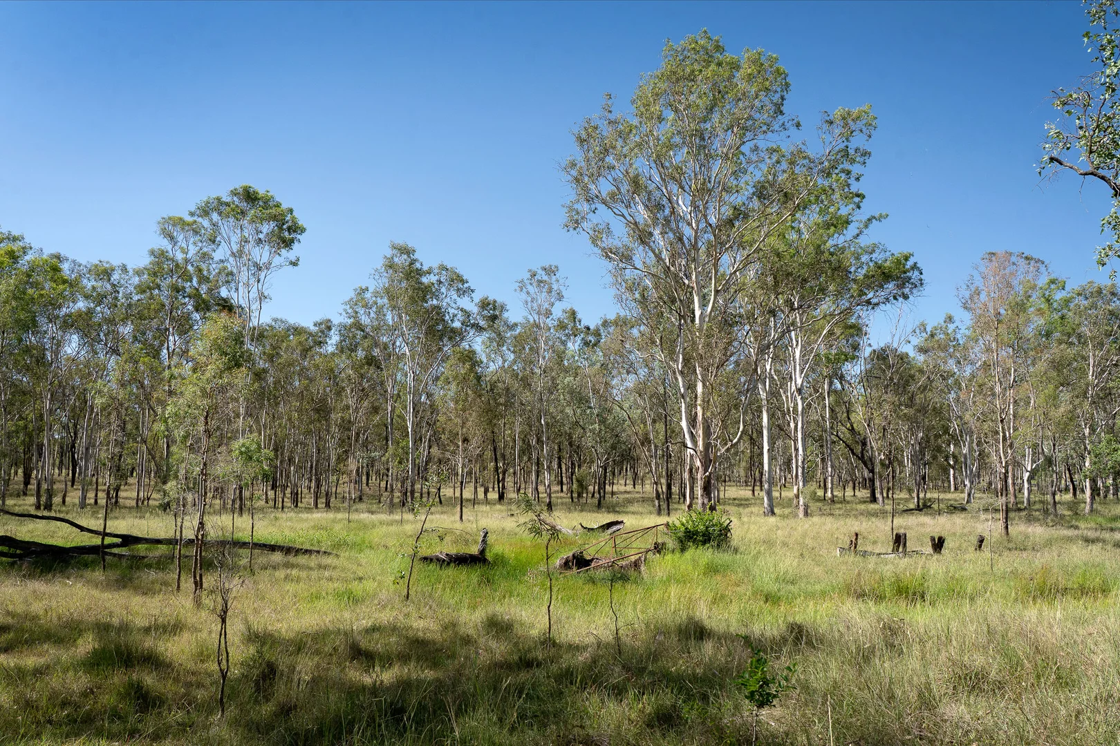 Additional image 13 of Lot 65 Cunningham Highway, Mutdapilly QLD 4307
