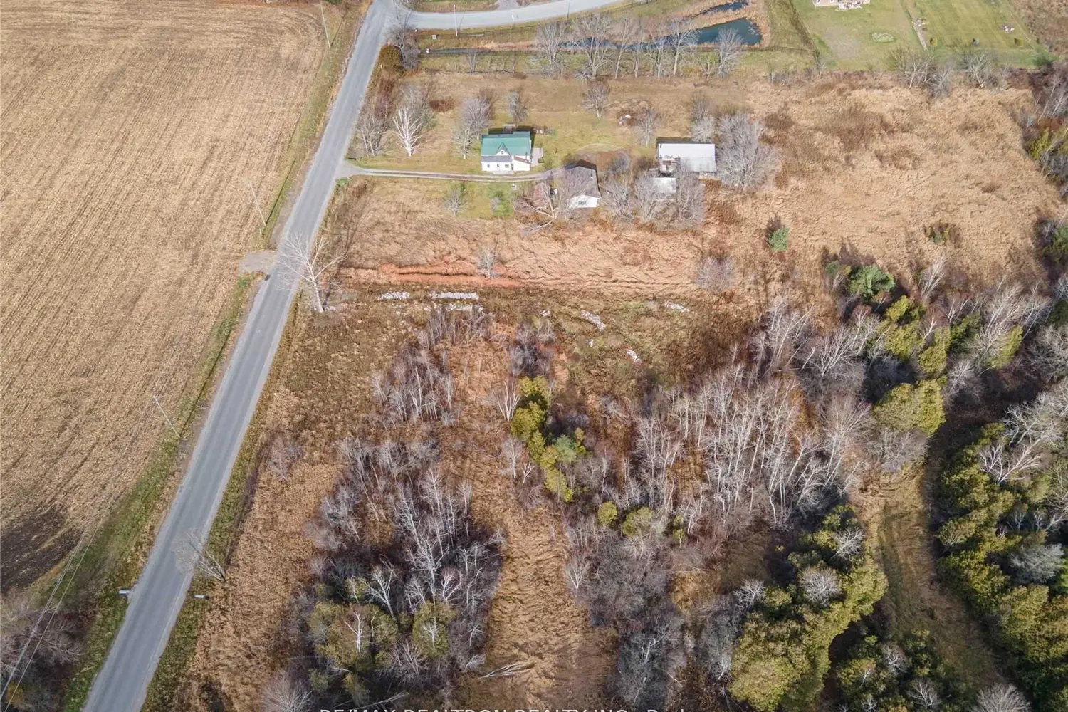 305 Brimley Road photo 5