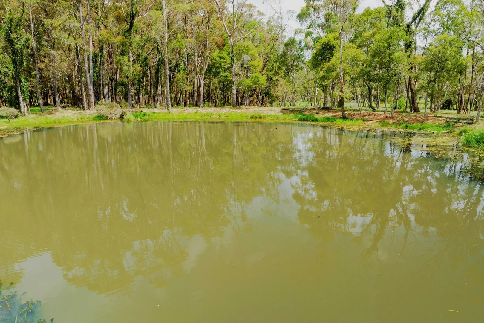 Additional image 15 of 1180 Sheepwash Road, Fitzroy Falls NSW 2577