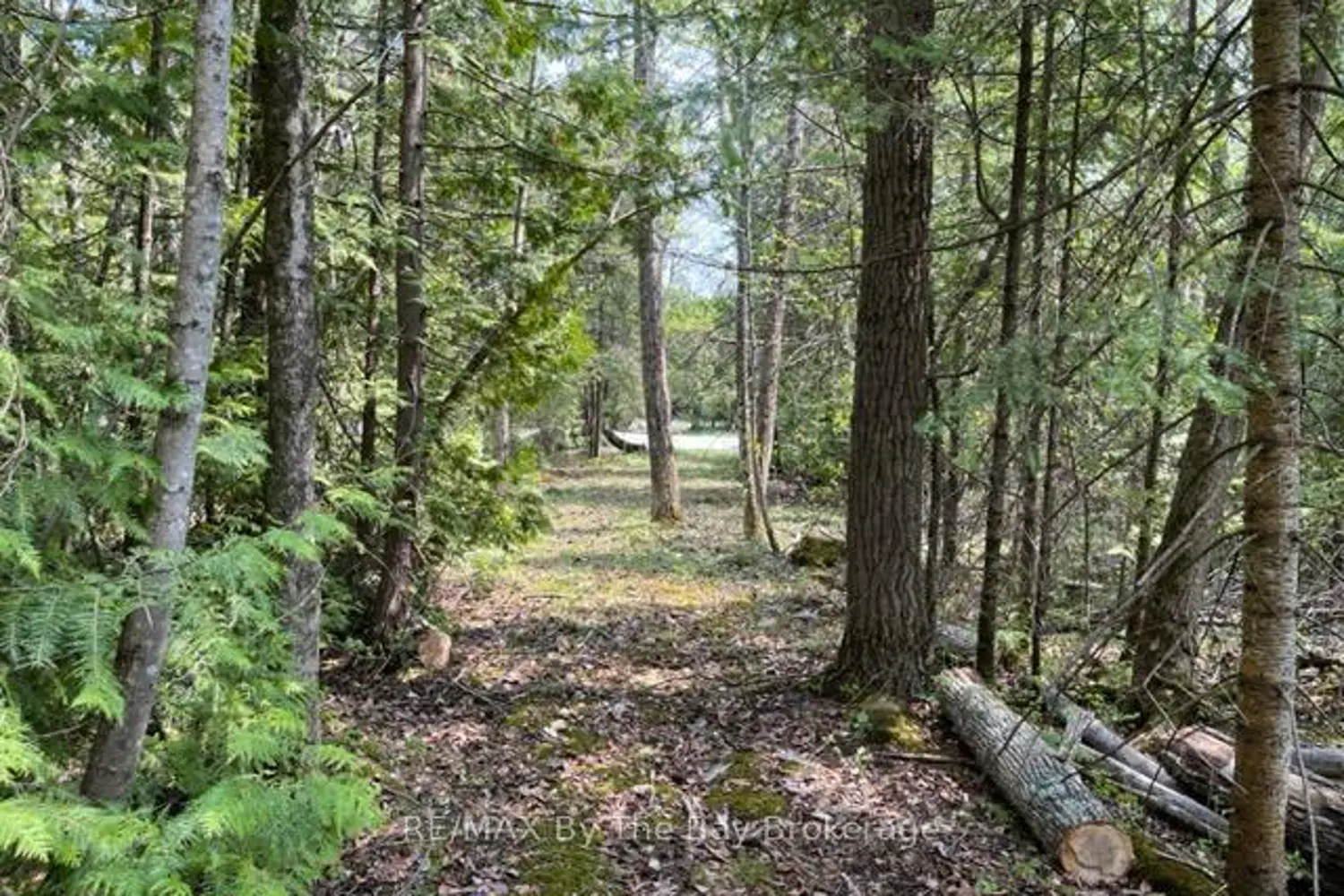 Additional image 10 of 191-193 Mallory Beach Road