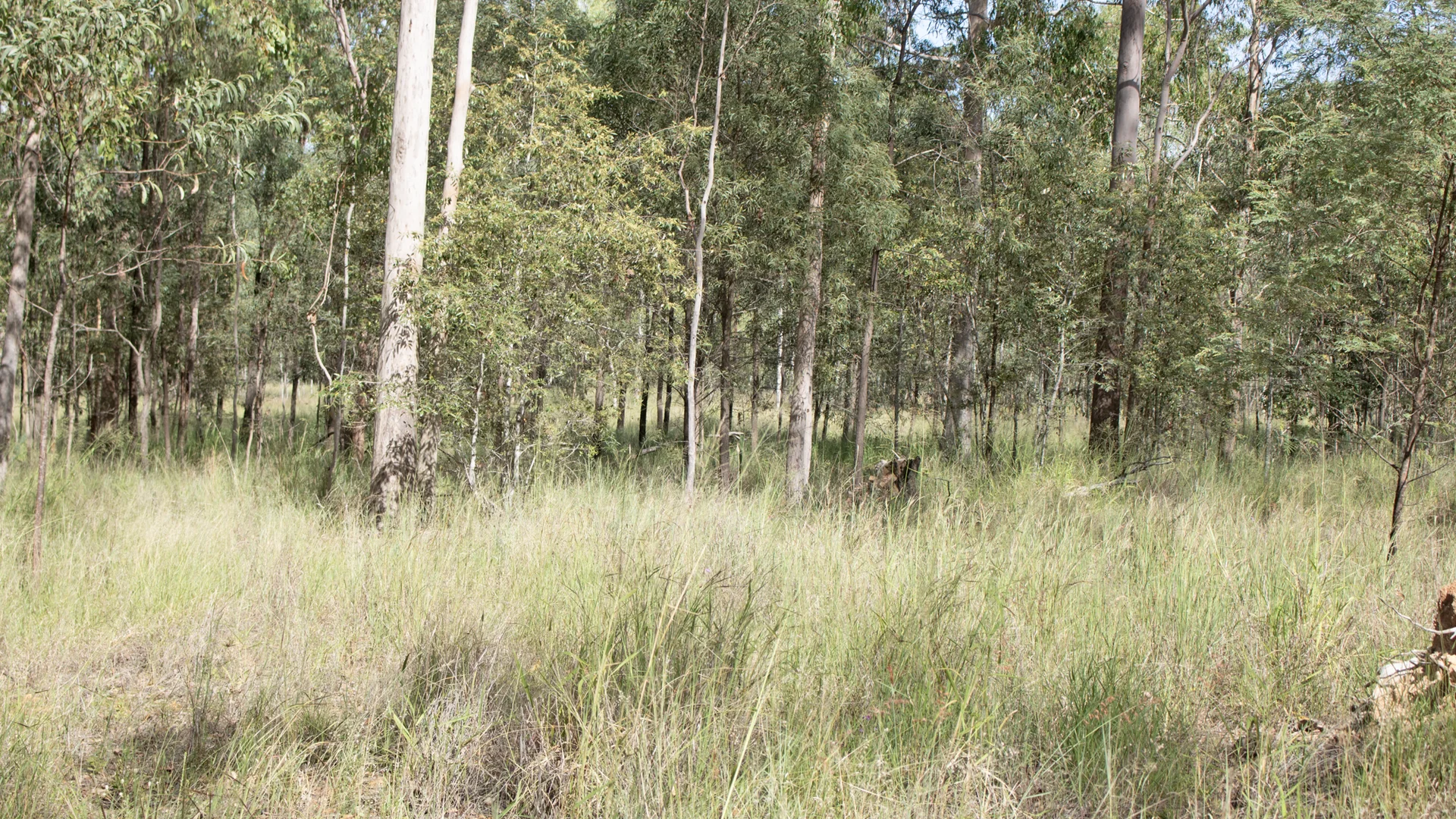 Lot 1/MPH22655 Burnett Highway, Eidsvold QLD 4627