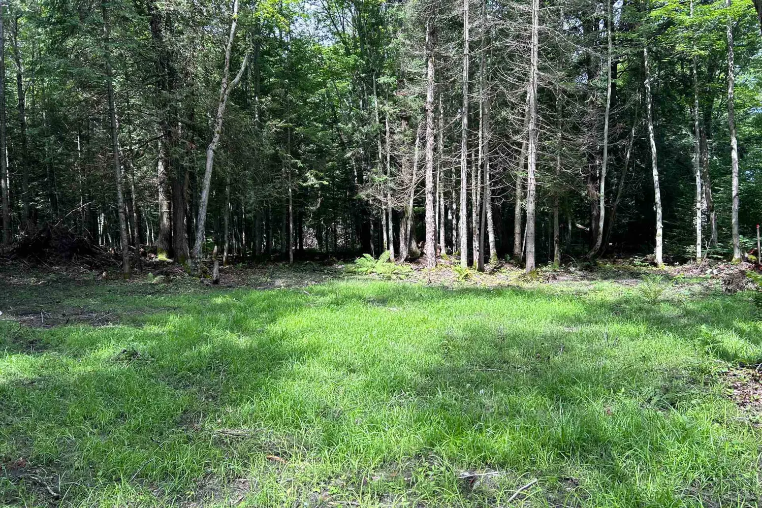 Additional image 4 of 63 Annie Mayhew Road