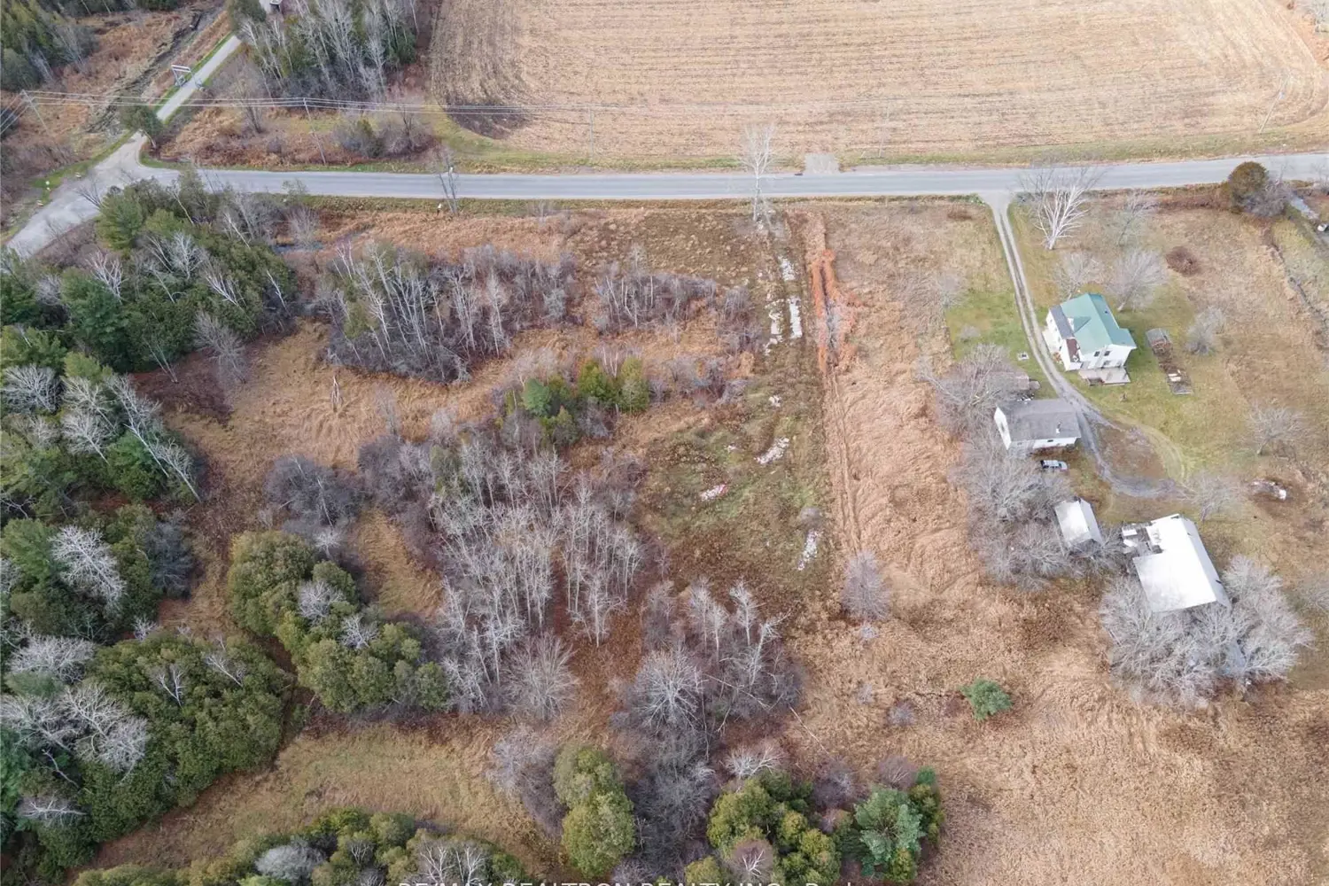 305 Brimley Road photo 4