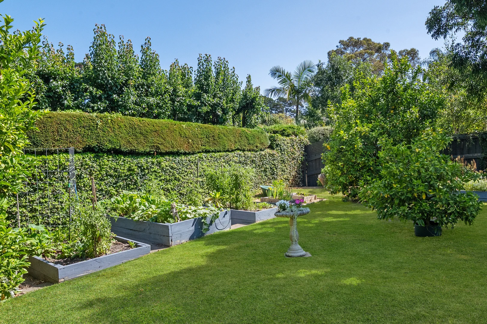Additional image 15 of 15 Azure Avenue, Balnarring VIC 3926