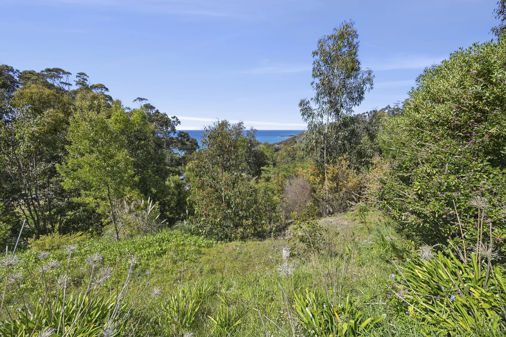 Additional image 4 of 1-5 Bass Avenue, Separation Creek VIC 3234