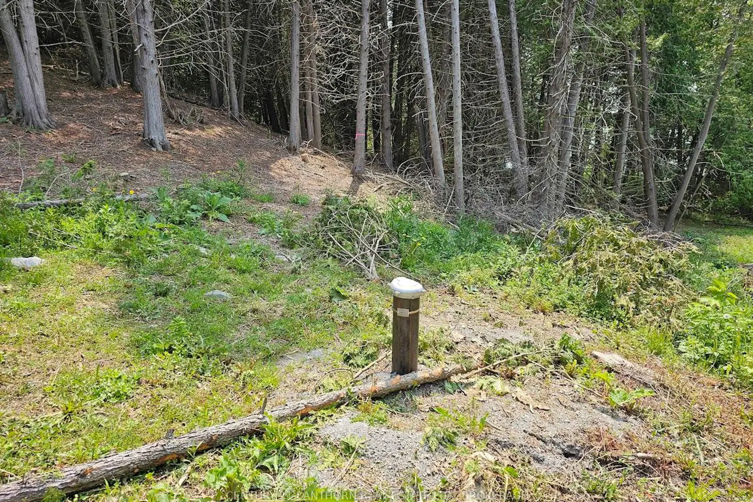 Additional image 4 of 0000 Cedarstone Road