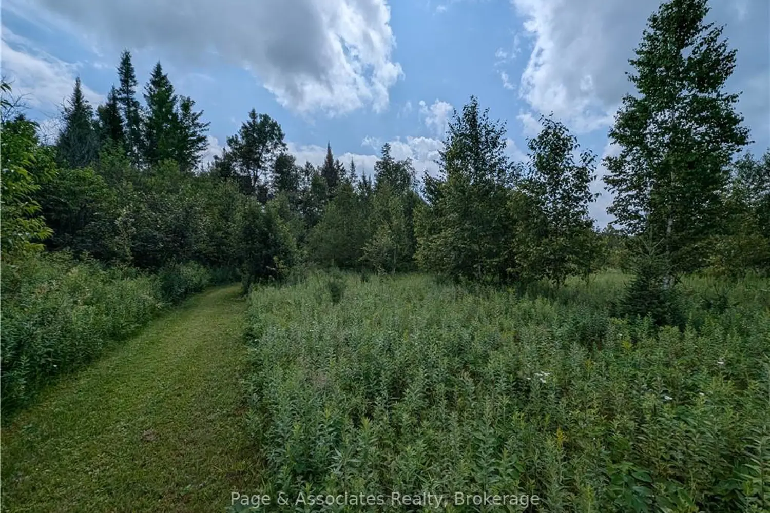 Additional image 6 of Part 1 Larocque Street
