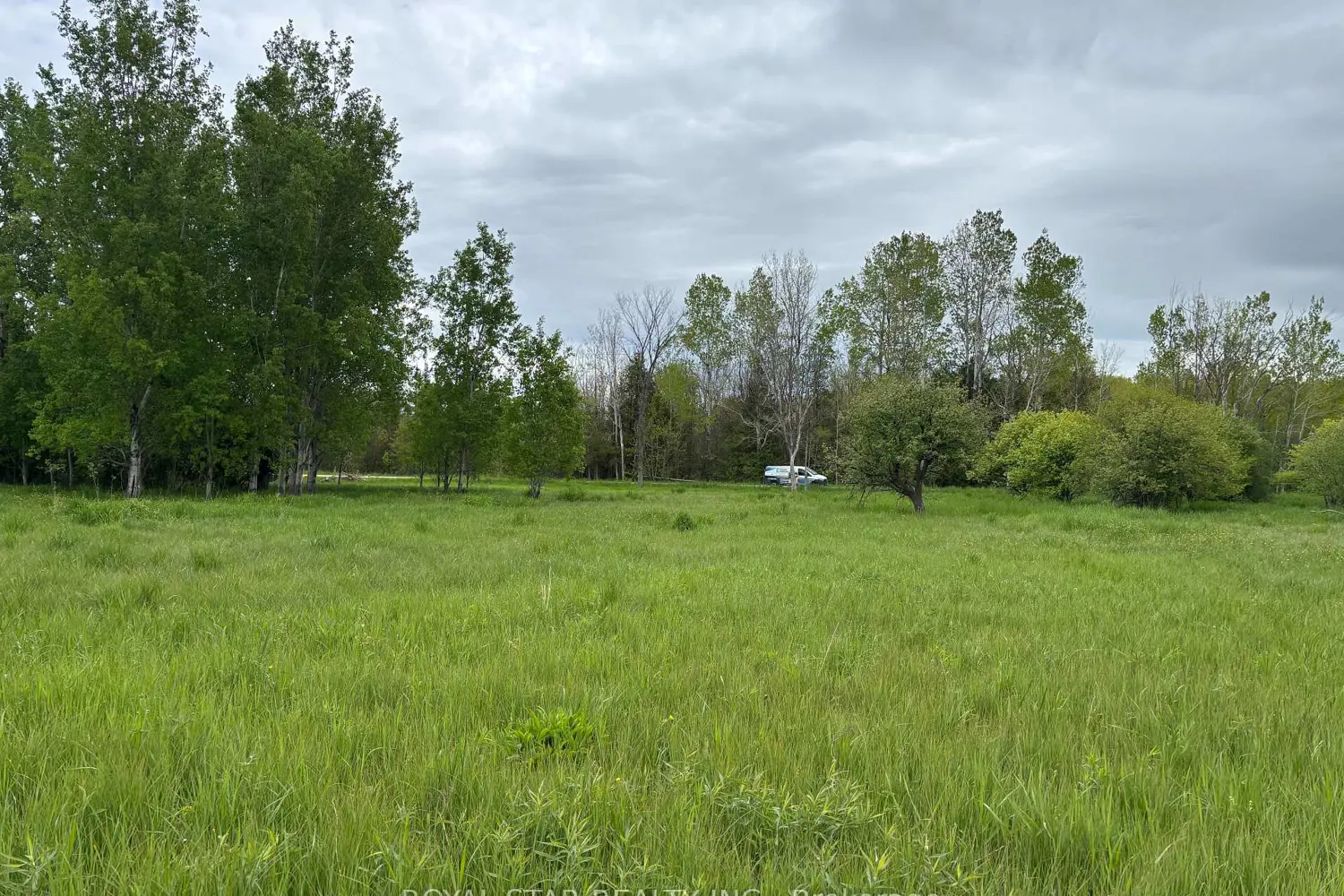 Additional image 5 of 104264 Grey Road 18