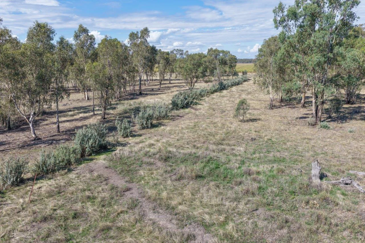 Additional image 24 of 465 East Barham Road, Barham NSW 2732