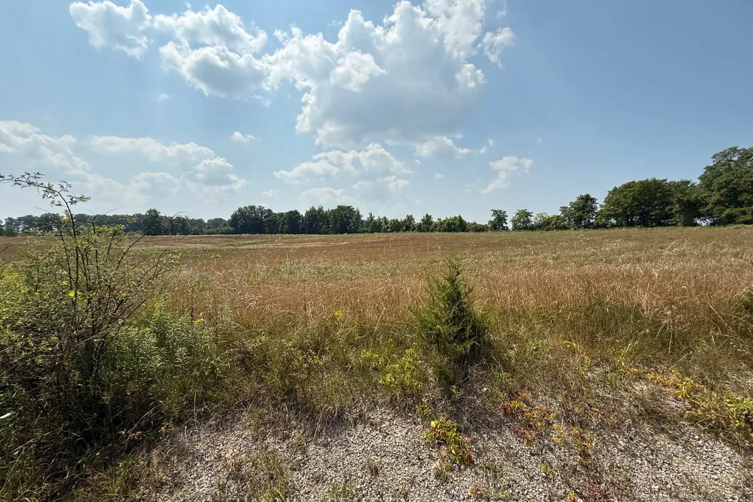 Additional image 7 of Ptlt 28 Sitter Road