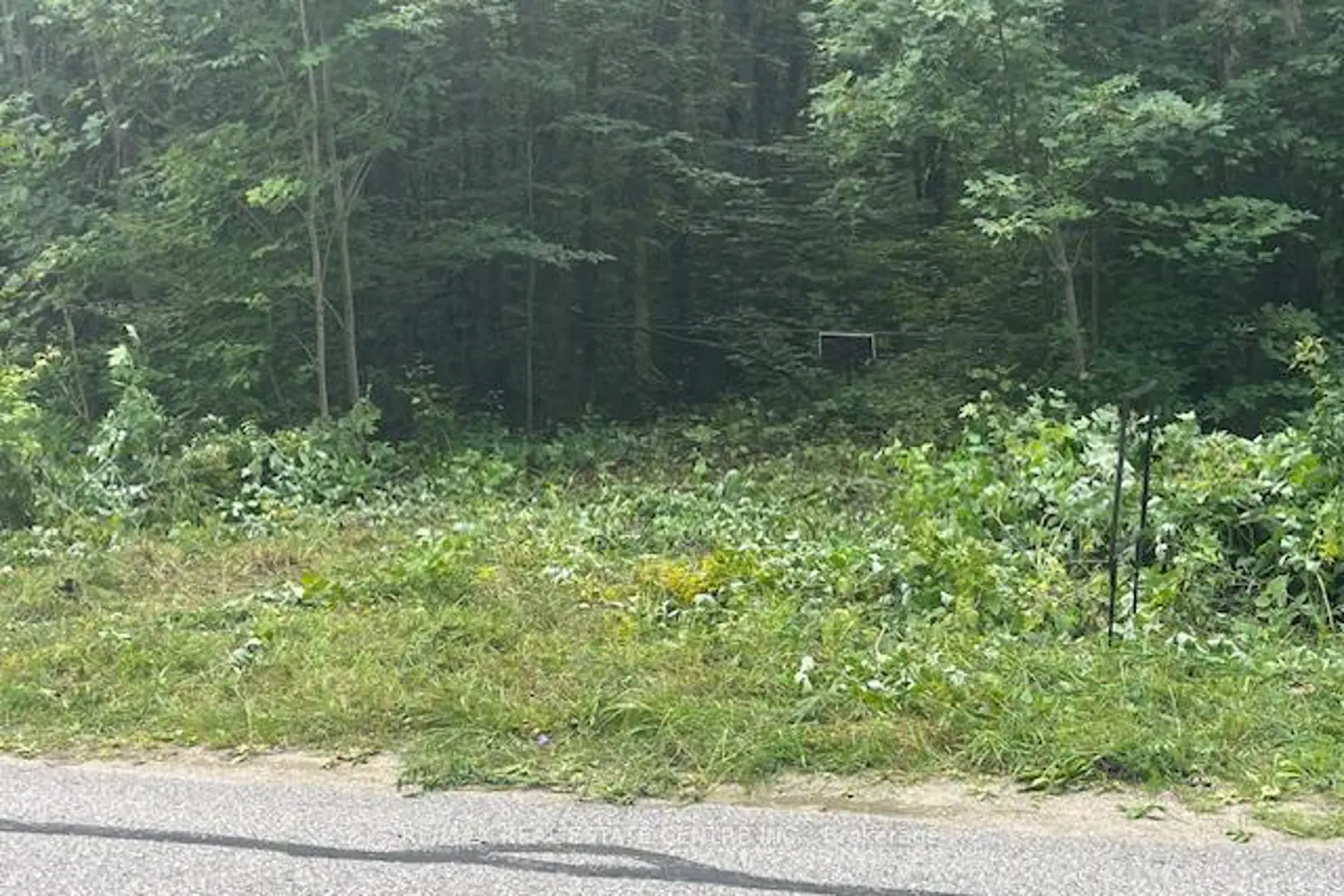 Additional image 5 of Pt Lt44 Chatsworth 24 Road