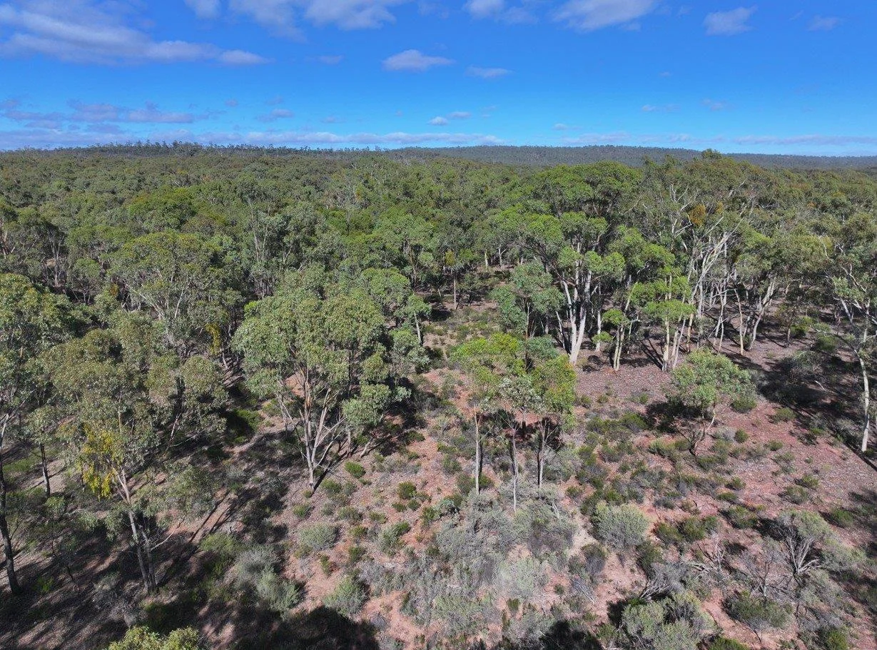 Additional image 3 of 0 Halls Road, Kingower VIC 3517
