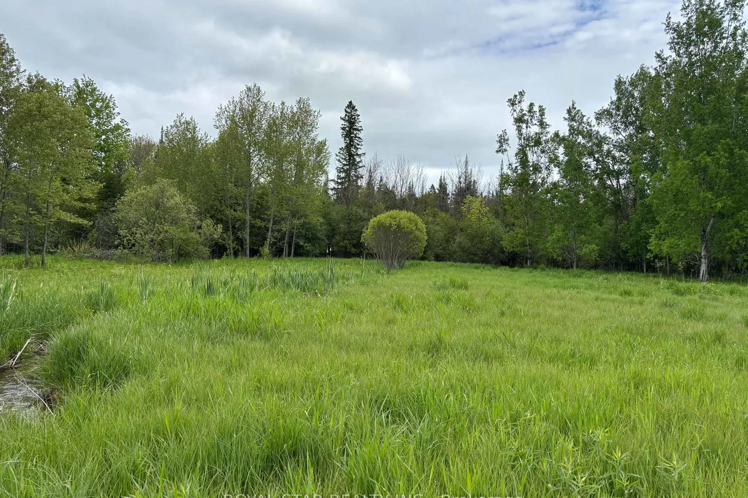 Additional image 4 of 104264 Grey Road 18