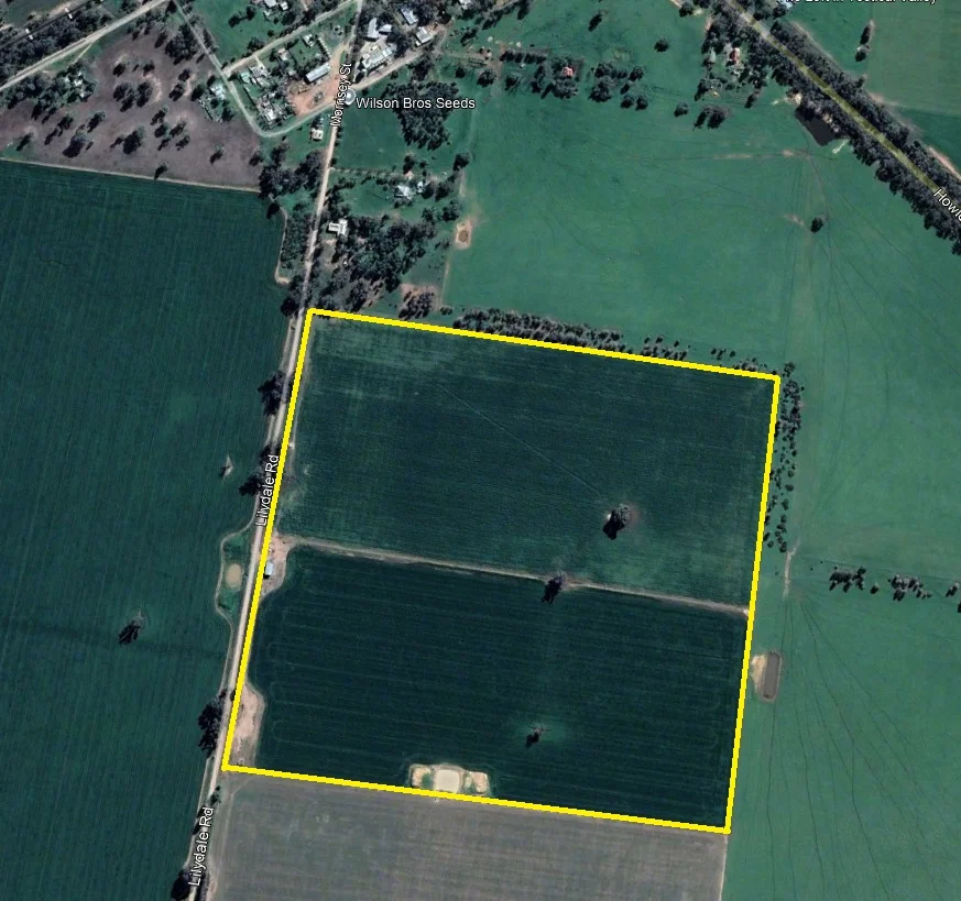 Additional image 18 of . Lilydale Road, Balldale NSW 2646