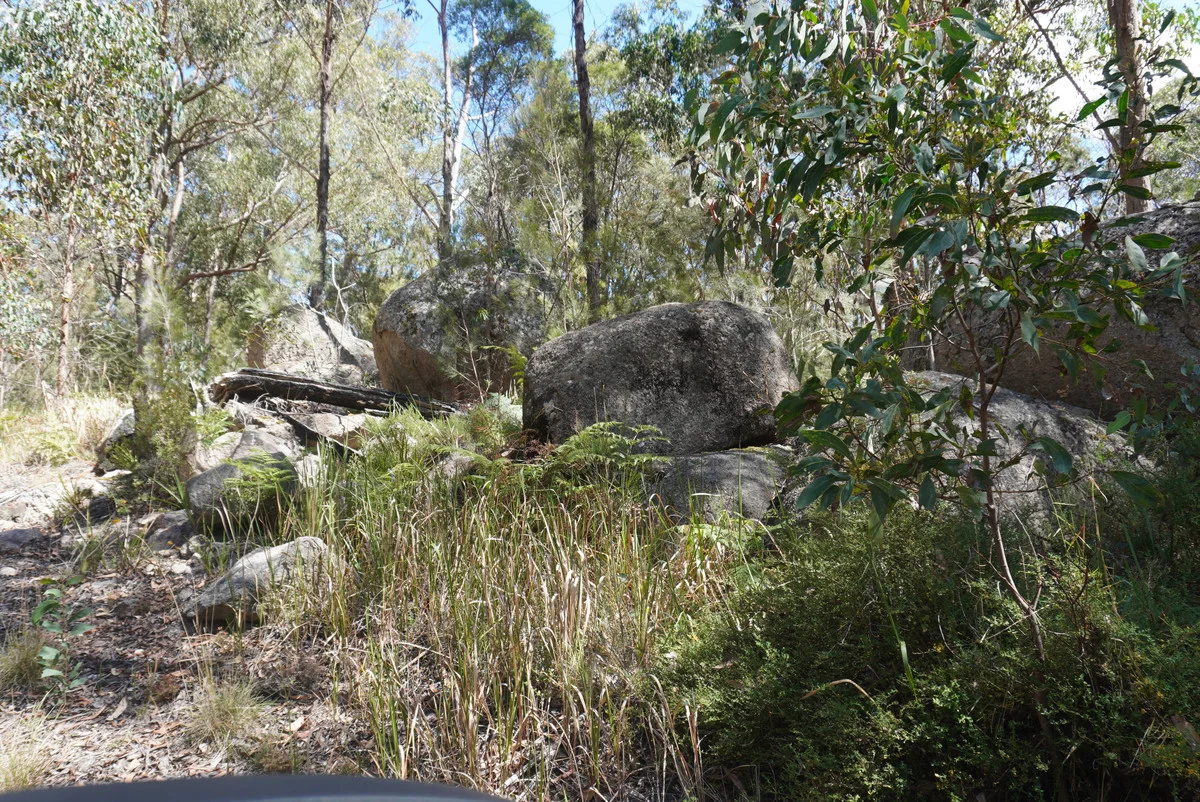 Additional image 34 of 1293 Mount Lindesay Road, Tenterfield NSW 2372