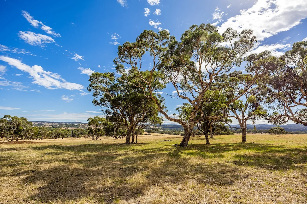 Additional image 49 of 109 Days Road, Kangarilla SA 5157
