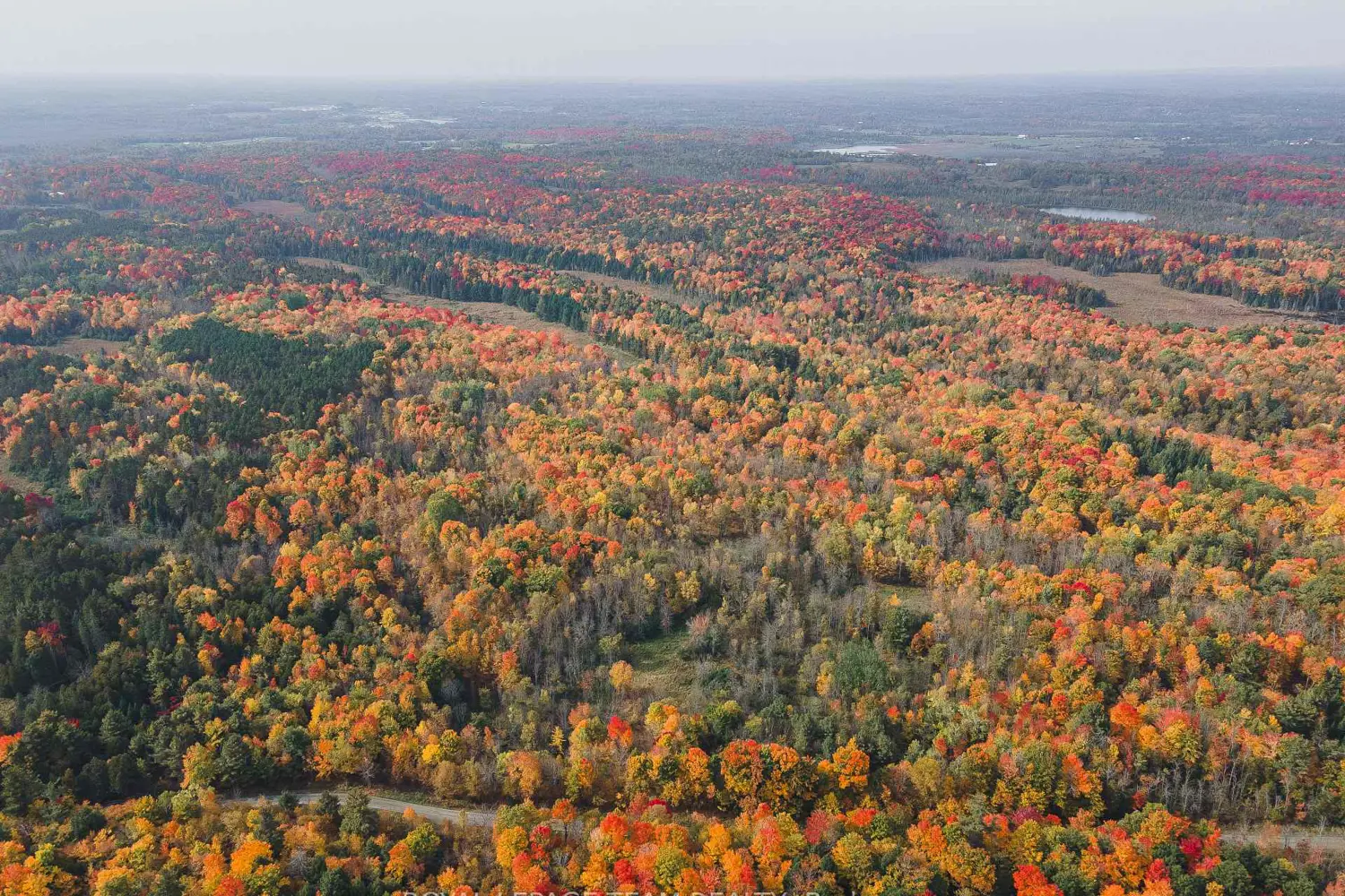 Additional image 7 of Lot 7 10Th Concession B Road