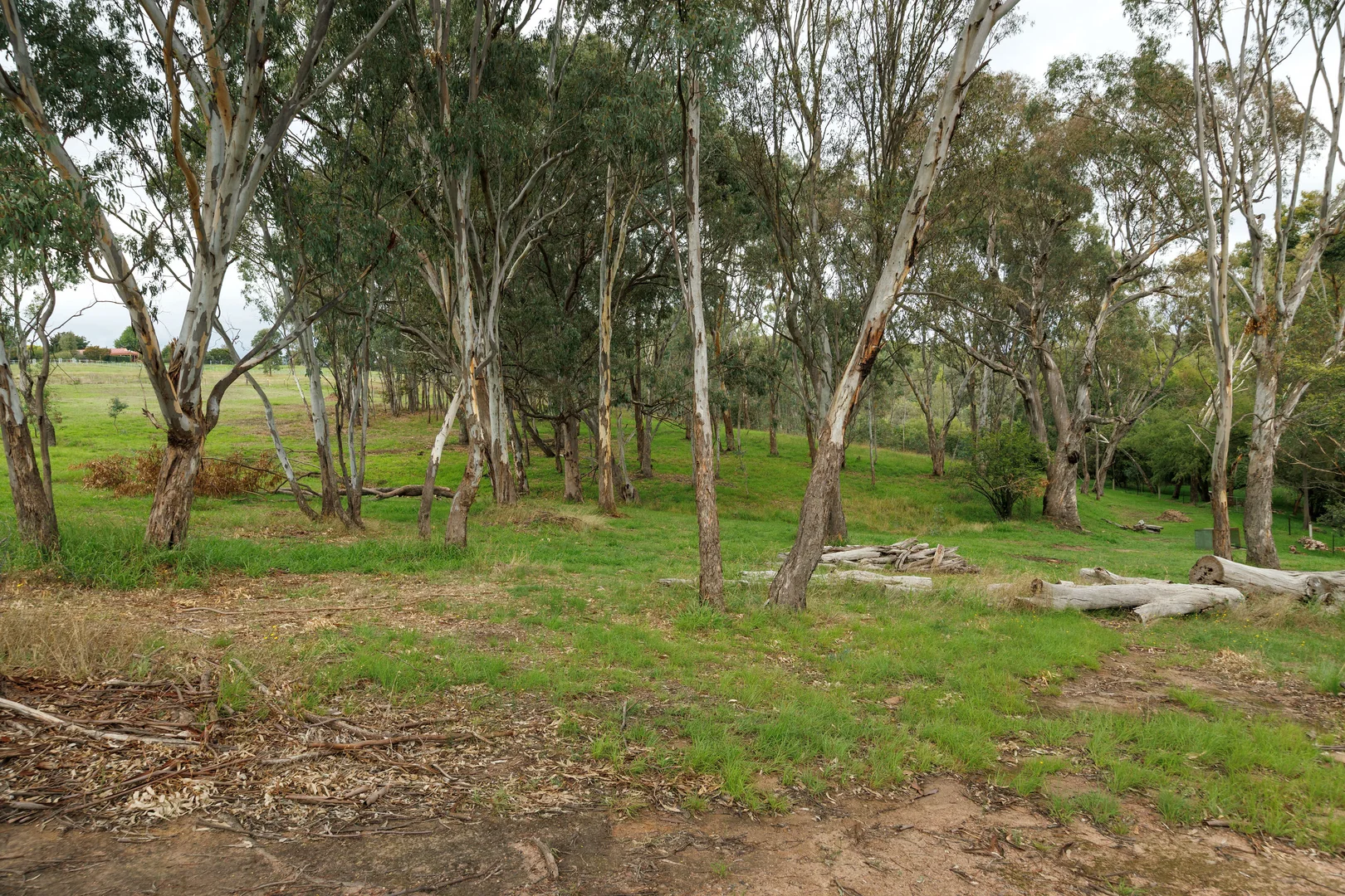 Additional image 21 of 21 Grays Lane, Osbornes Flat VIC 3691