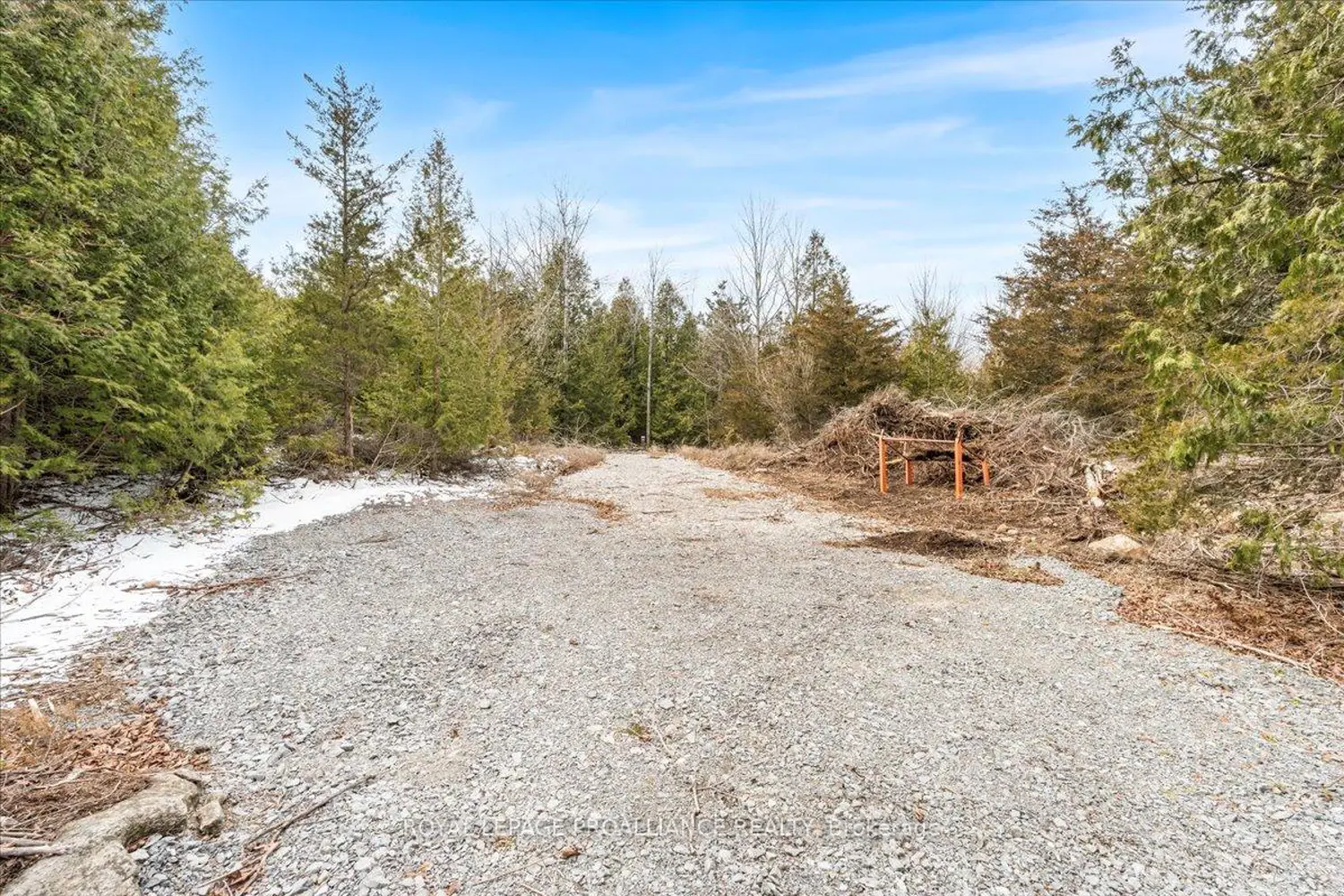 817 Carson Road photo 3
