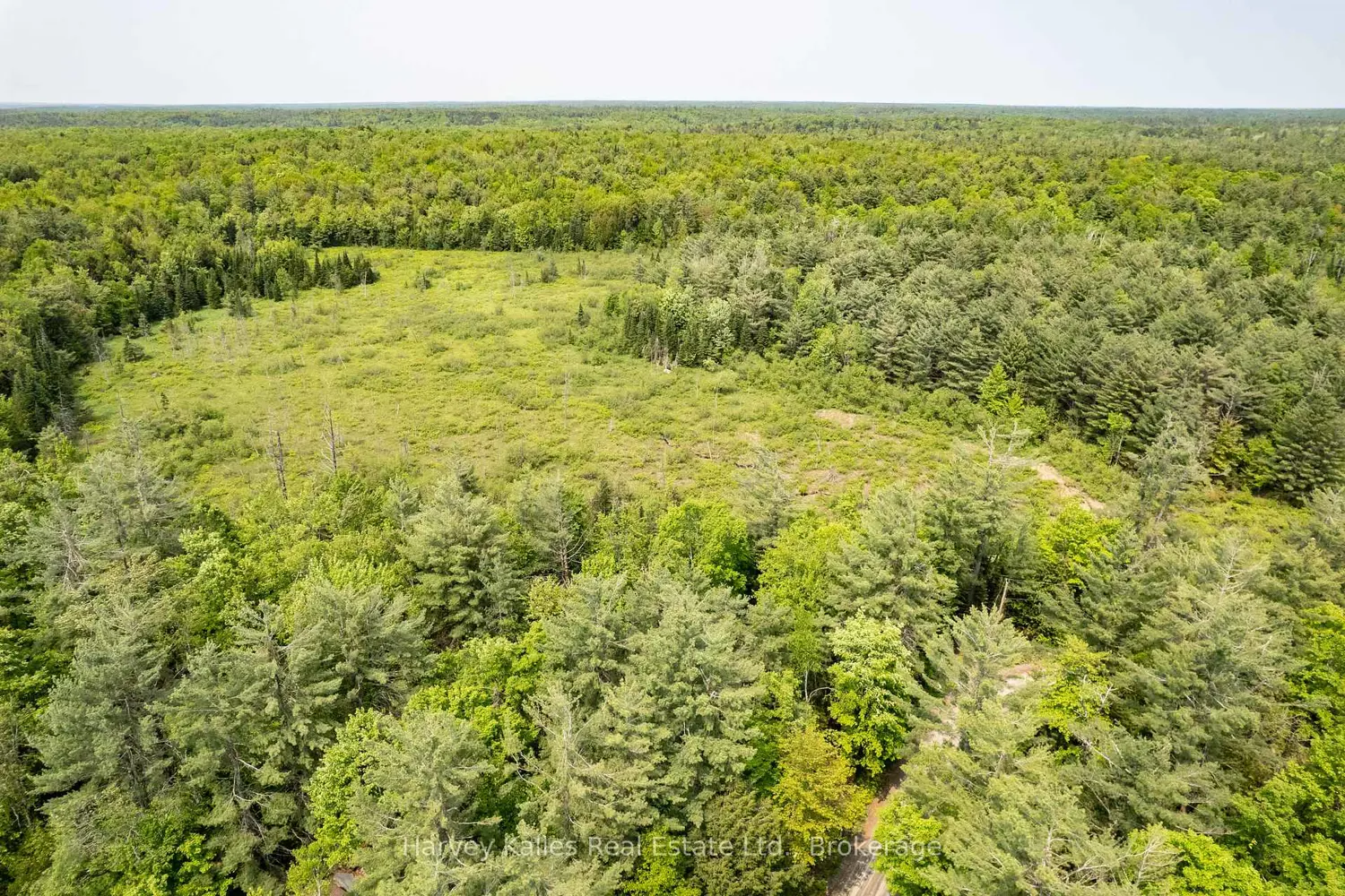 1099 Peterson Road photo 3