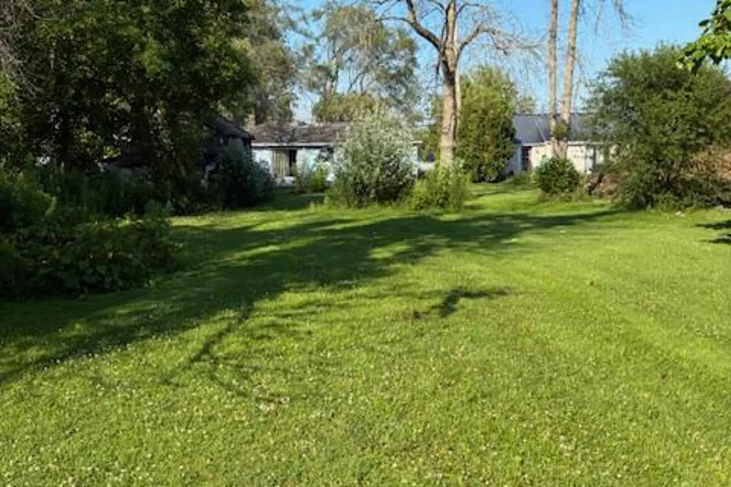 741 County Road 28 Road photo 5