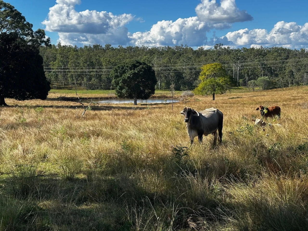 Additional image 9 of 26 Brown N Rd, Teebar QLD 4620