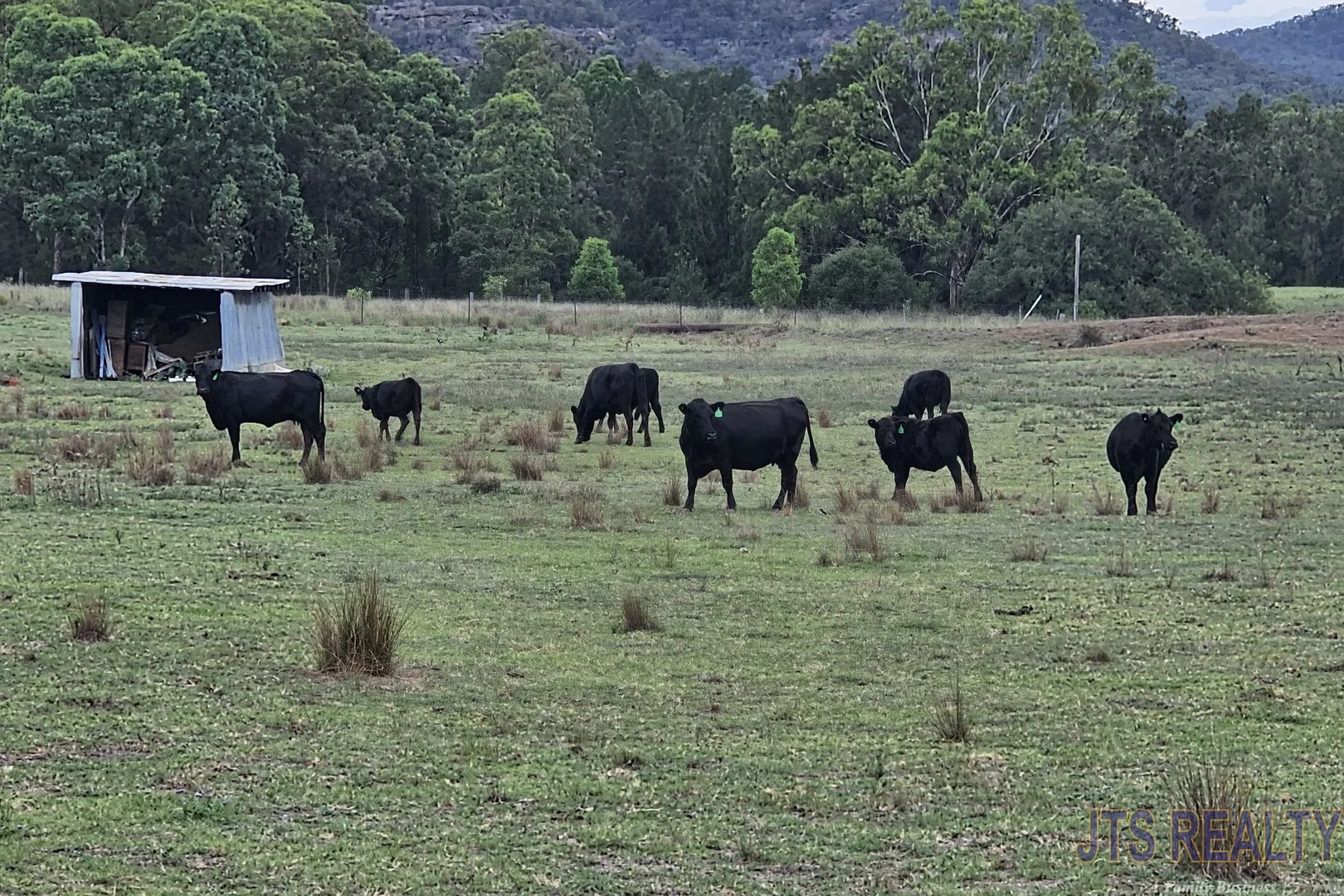 Additional image 7 of Level 51 Worondi Creek Road, Gungal NSW 2333