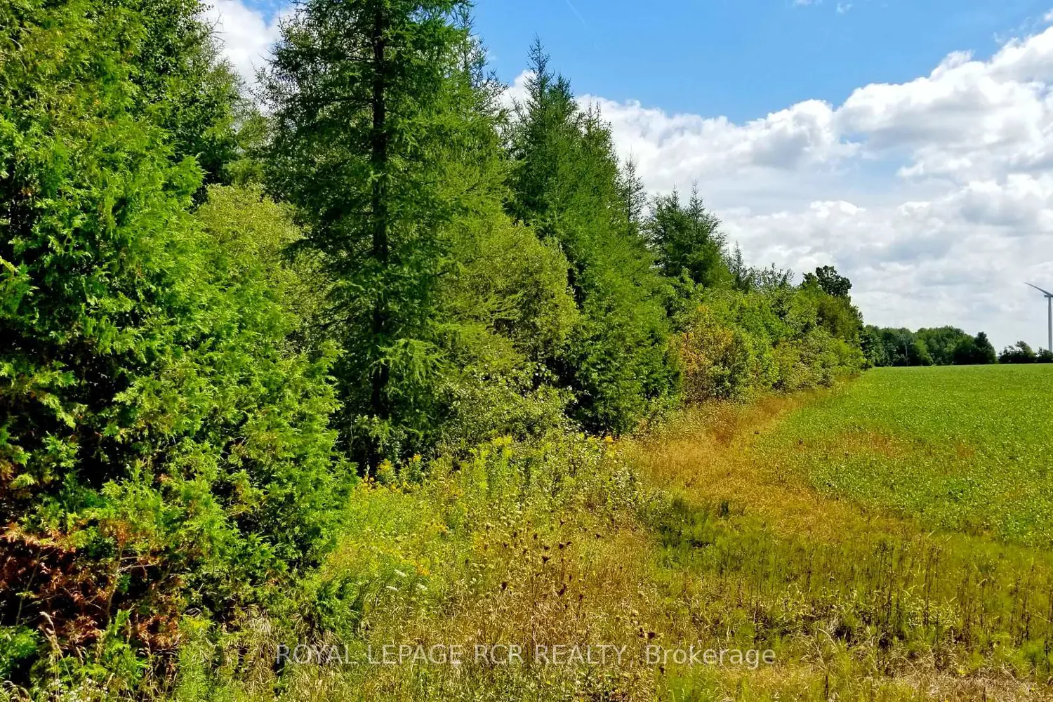 Lot 31 9 County Road photo 4