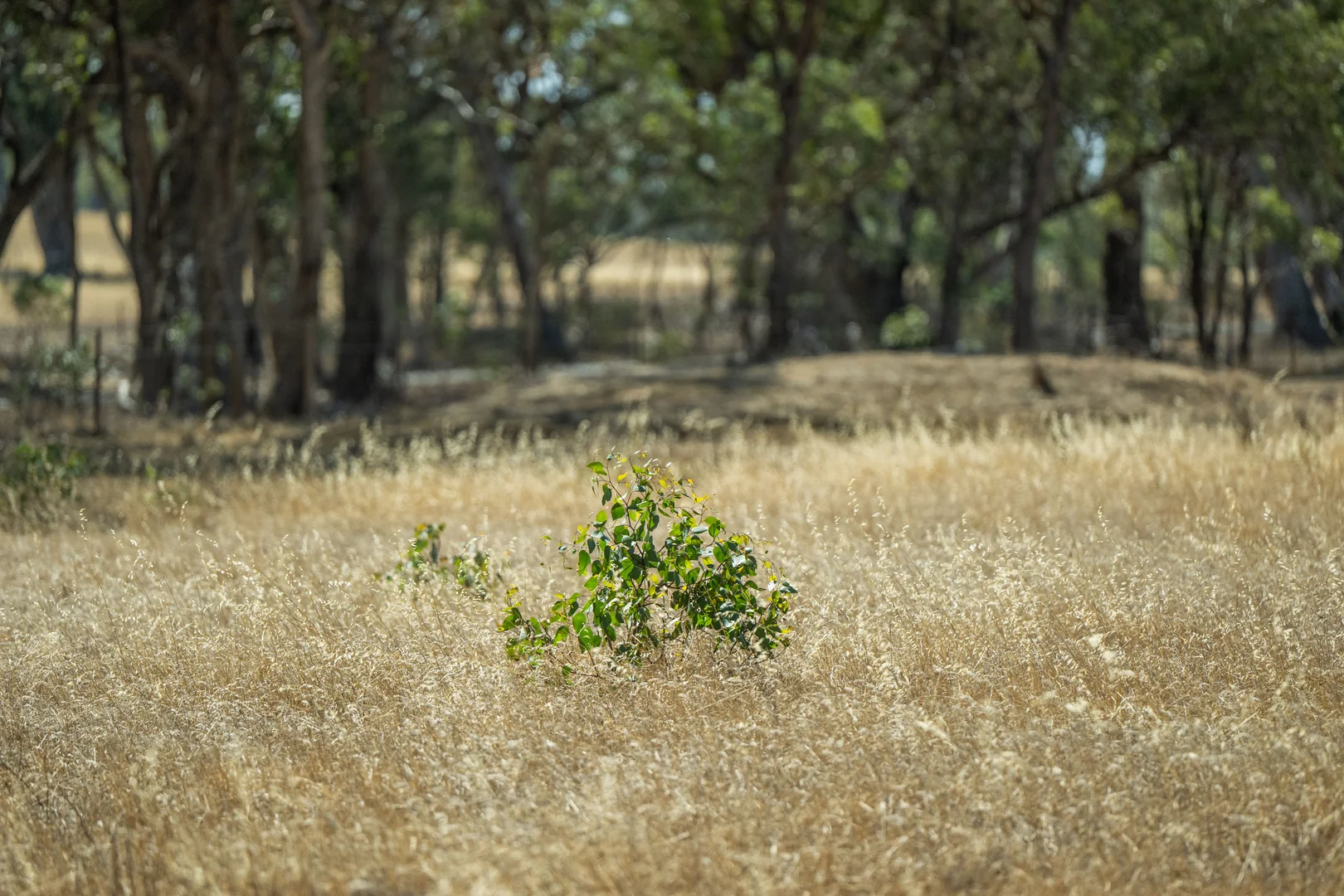 Additional image 15 of 1 Old Corop Road, Rushworth VIC 3612