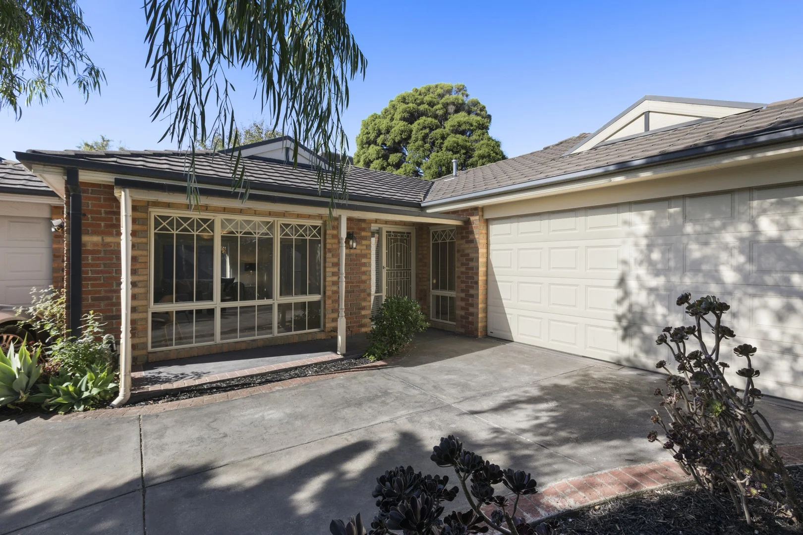 3/12 Waratah Avenue, Mordialloc VIC 3195