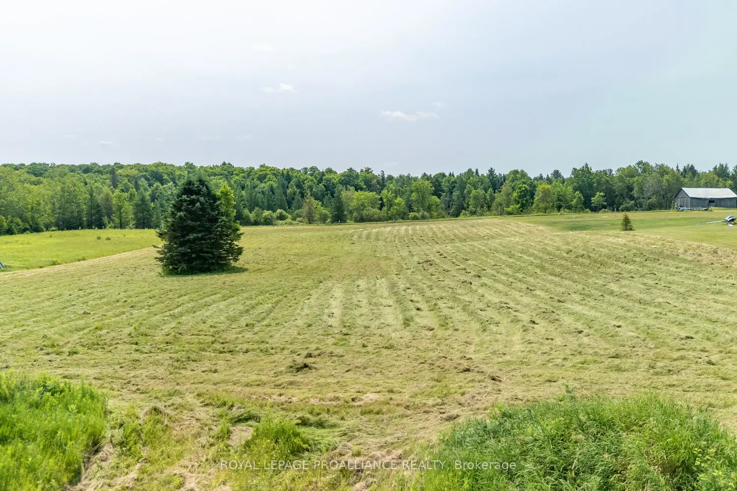 Additional image 3 of 1226 Gull Lake Road