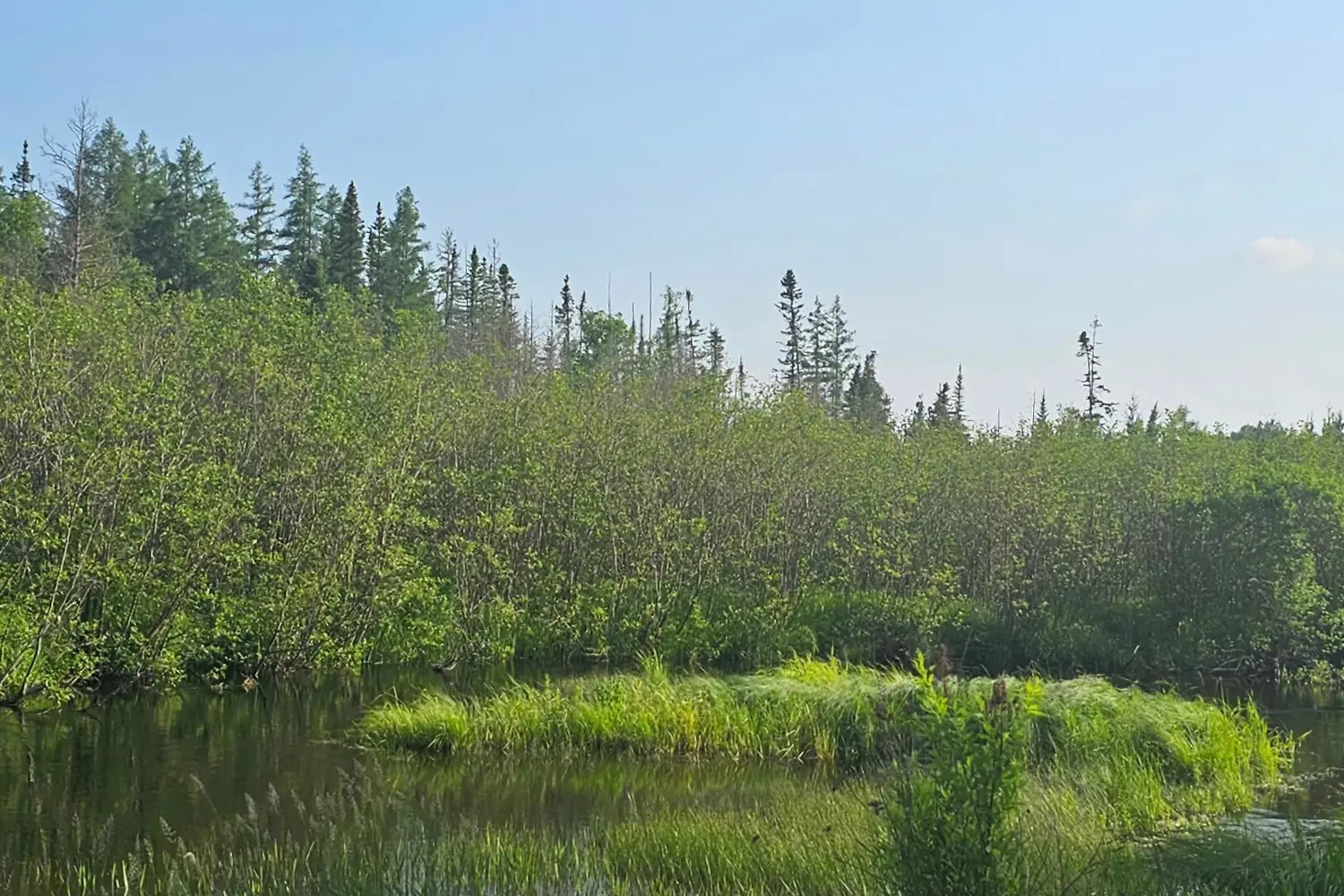 95 Fish Lake Road photo 3