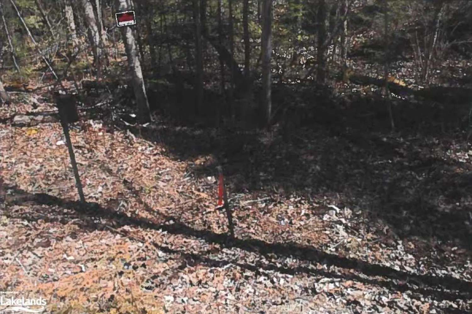 151 High Rock Drive photo 2