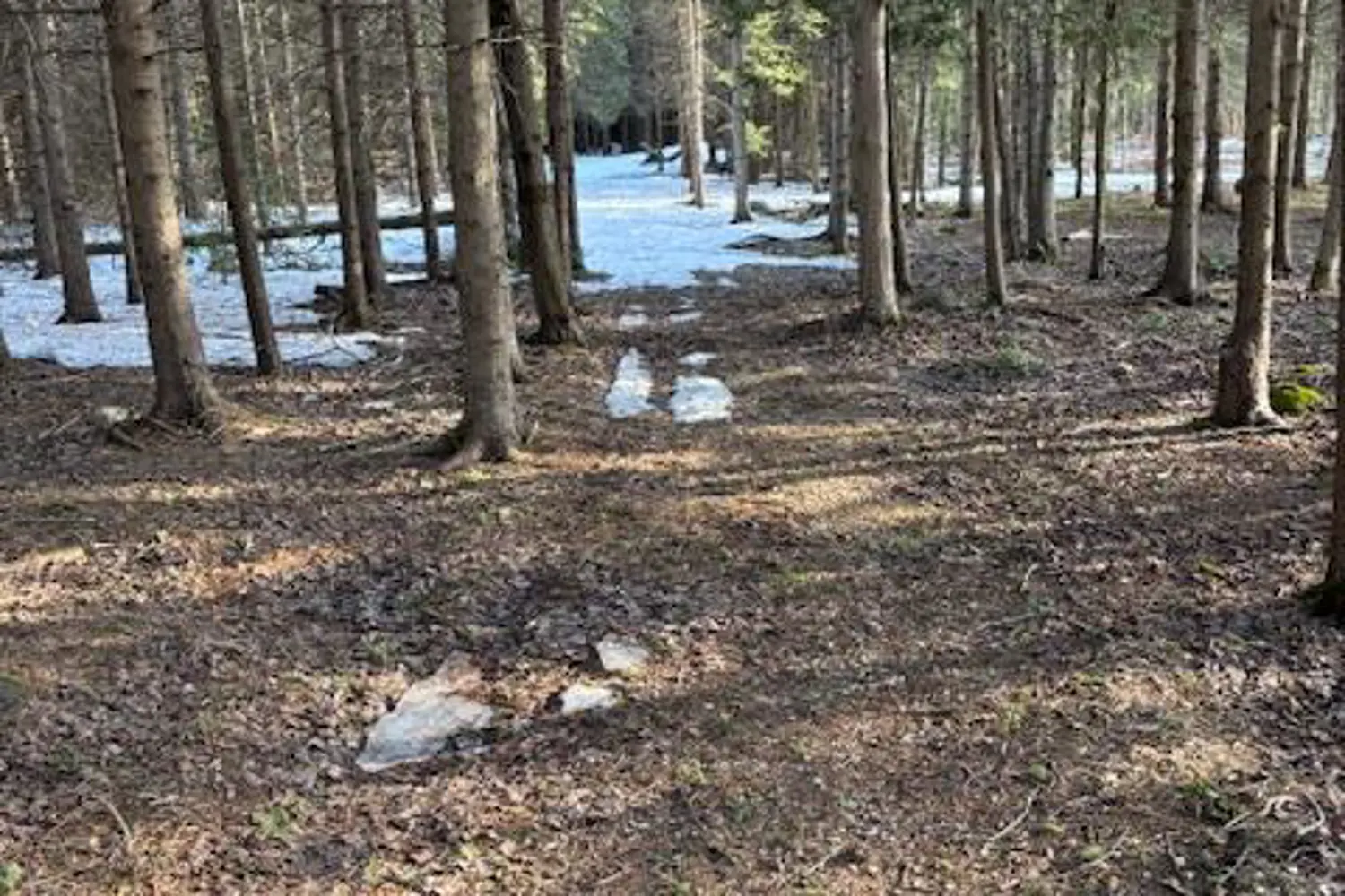 Additional image 8 of 1 Southgate Srd 57 Road