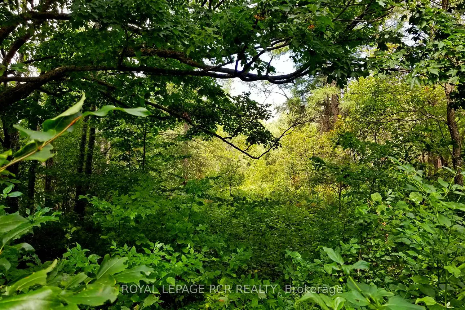 Lot 31 9 County Road photo 3