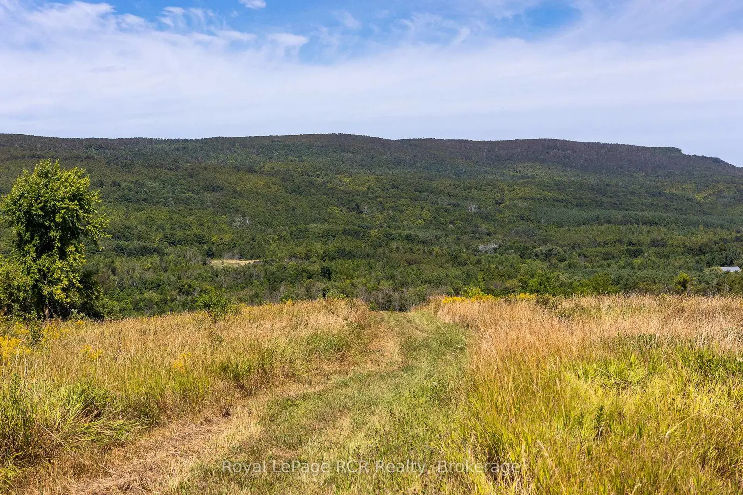 Additional image 16 of 634931 Pretty River Road