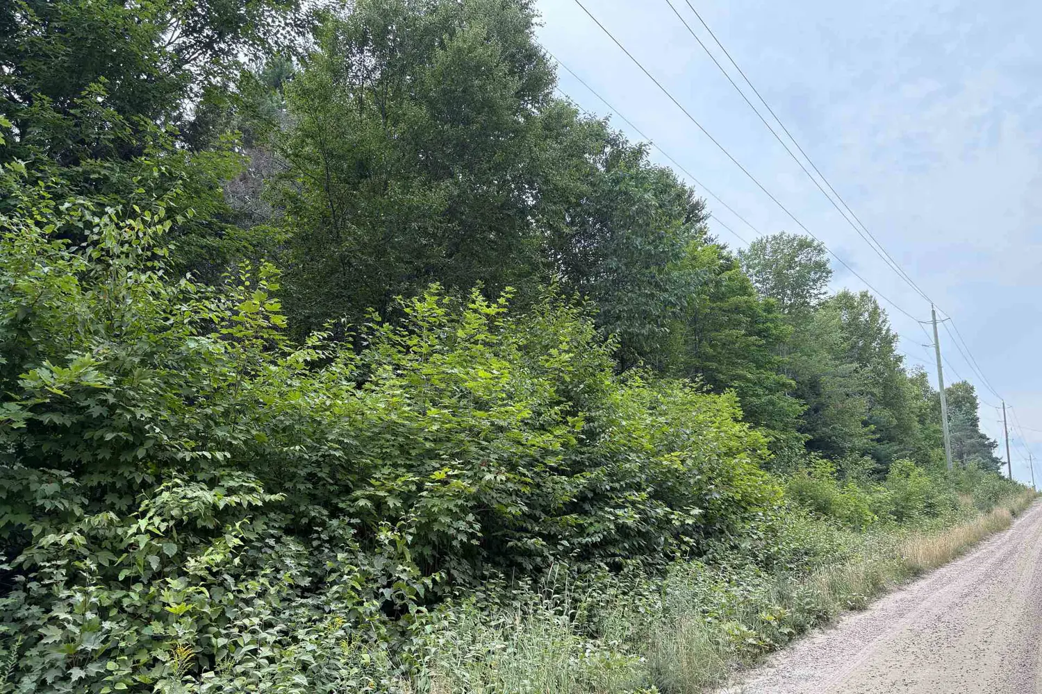 Additional image 4 of 0 Hemlock Road