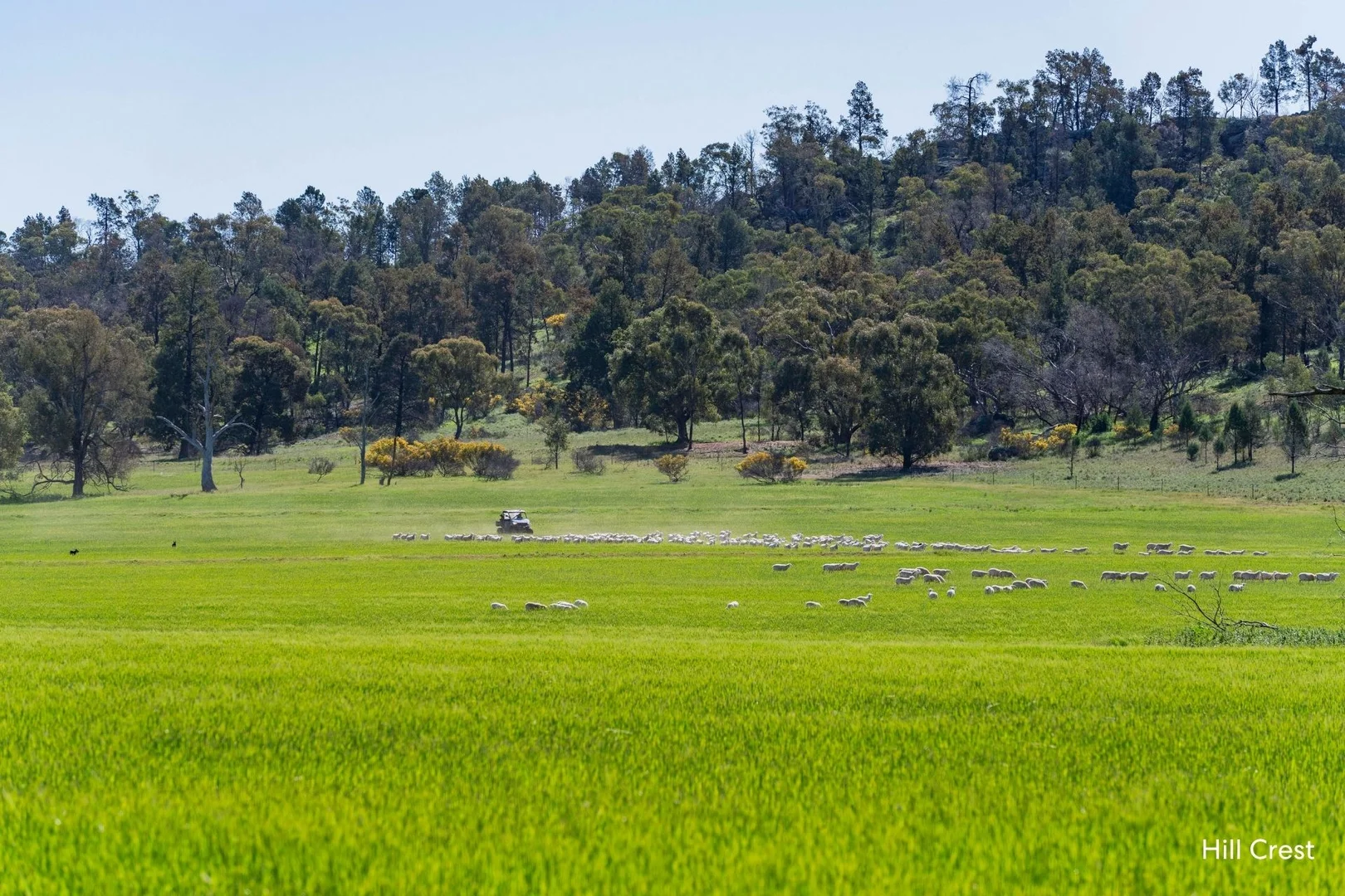 Additional image 33 of Kamarah Road, Narrandera NSW 2700