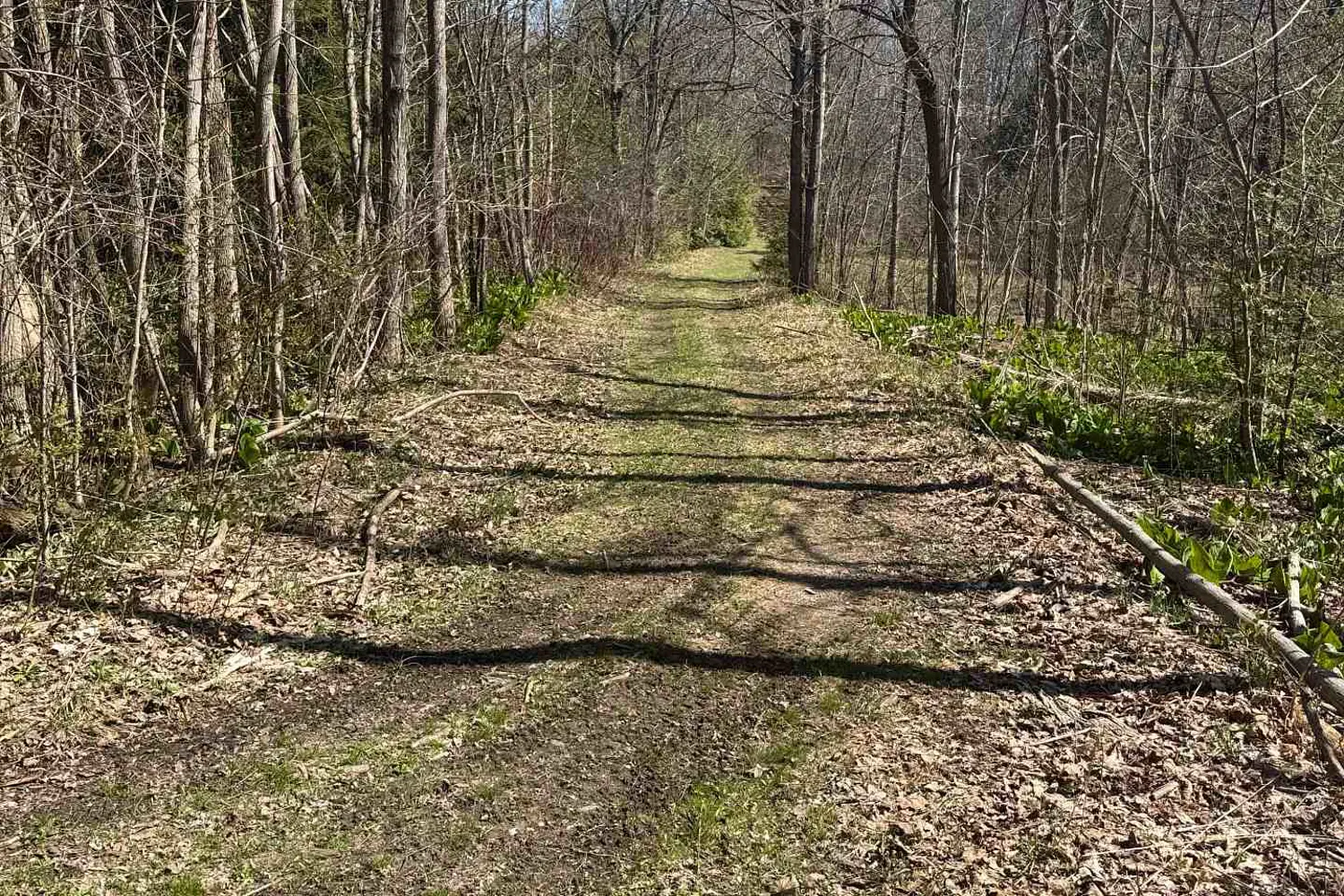 Additional image 9 of 00 Bethel Road