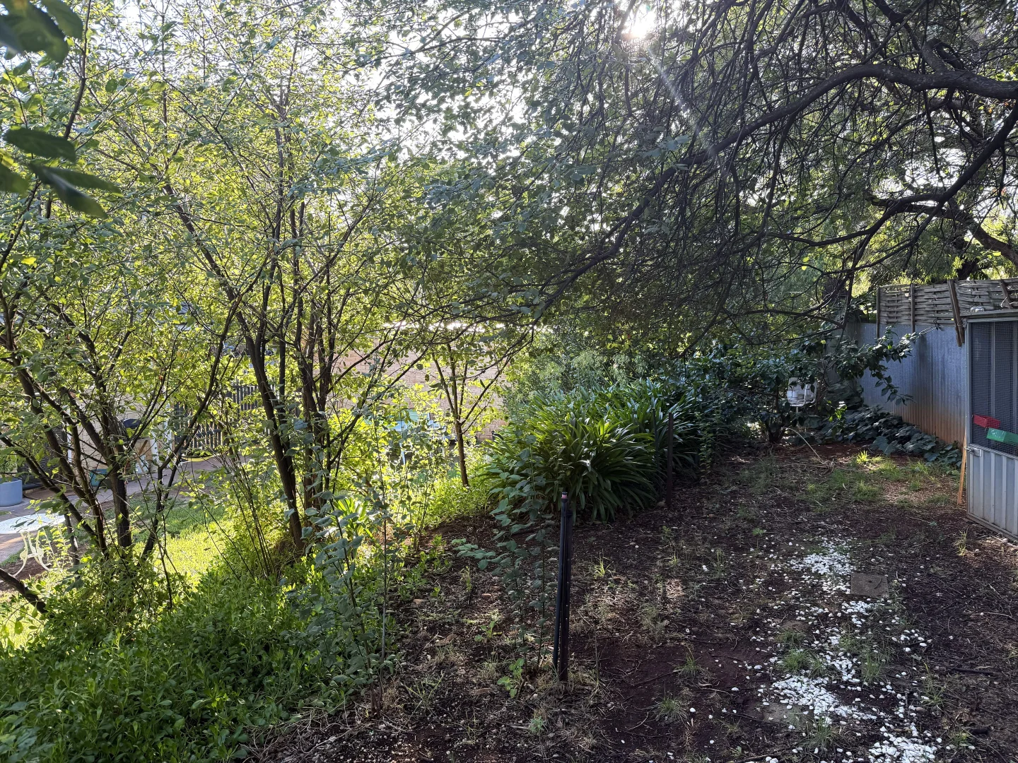 Additional image 8 of 5 Richardson Avenue, Tranmere SA 5073