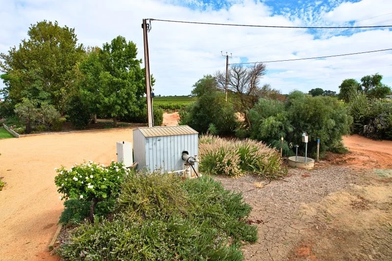 Additional image 5 of Lot 2 - 27 Thiele Road, Barmera SA 5345