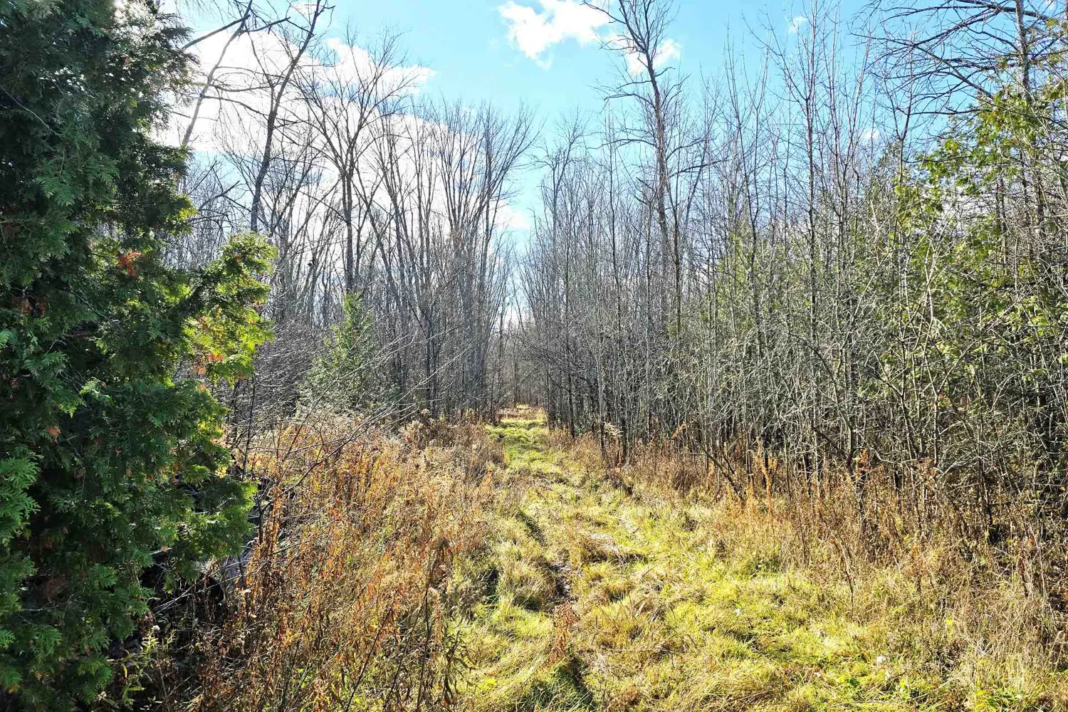 Additional image 7 of 0 Enright Road