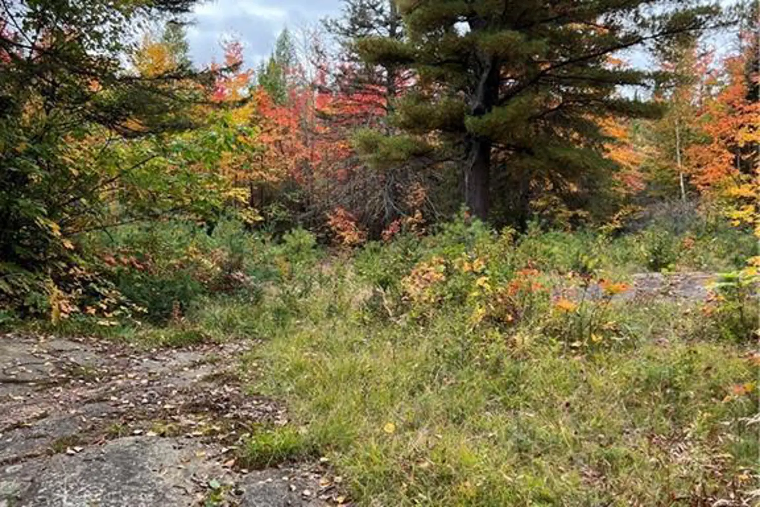Additional image 9 of 1759 Alsace Road