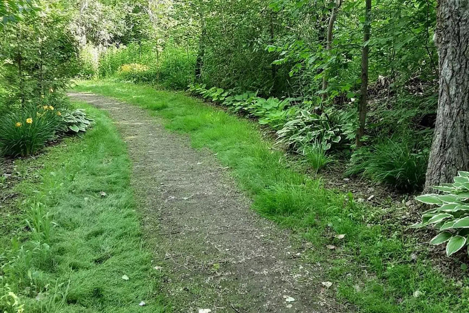 Additional image 3 of Pt Lt16 North Lunenburg Road