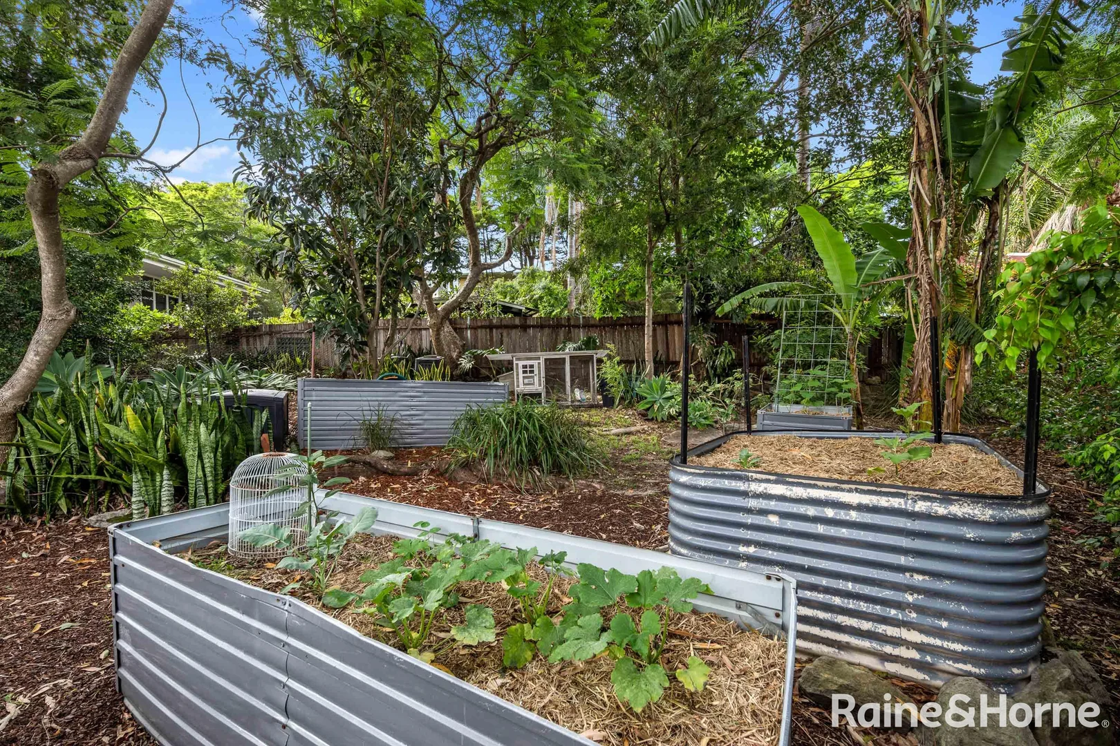 Additional image 16 of 185 Kingsland Road North, Bexley North NSW 2207