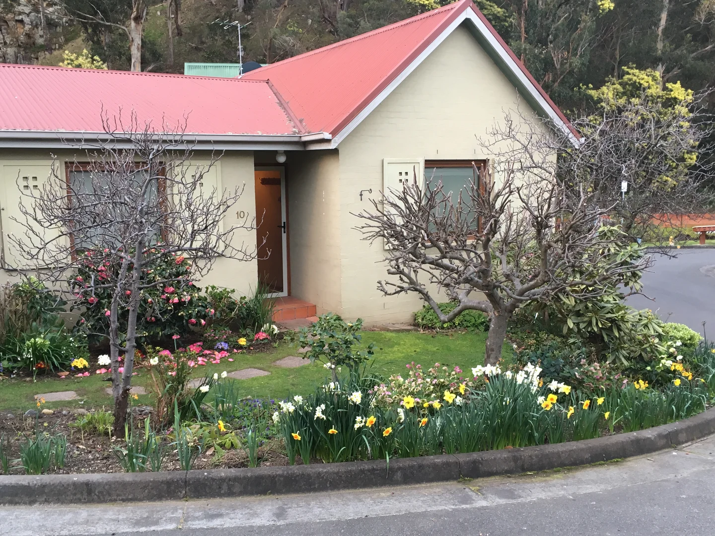 10/40 Macfarlane Street, South Hobart TAS 7004