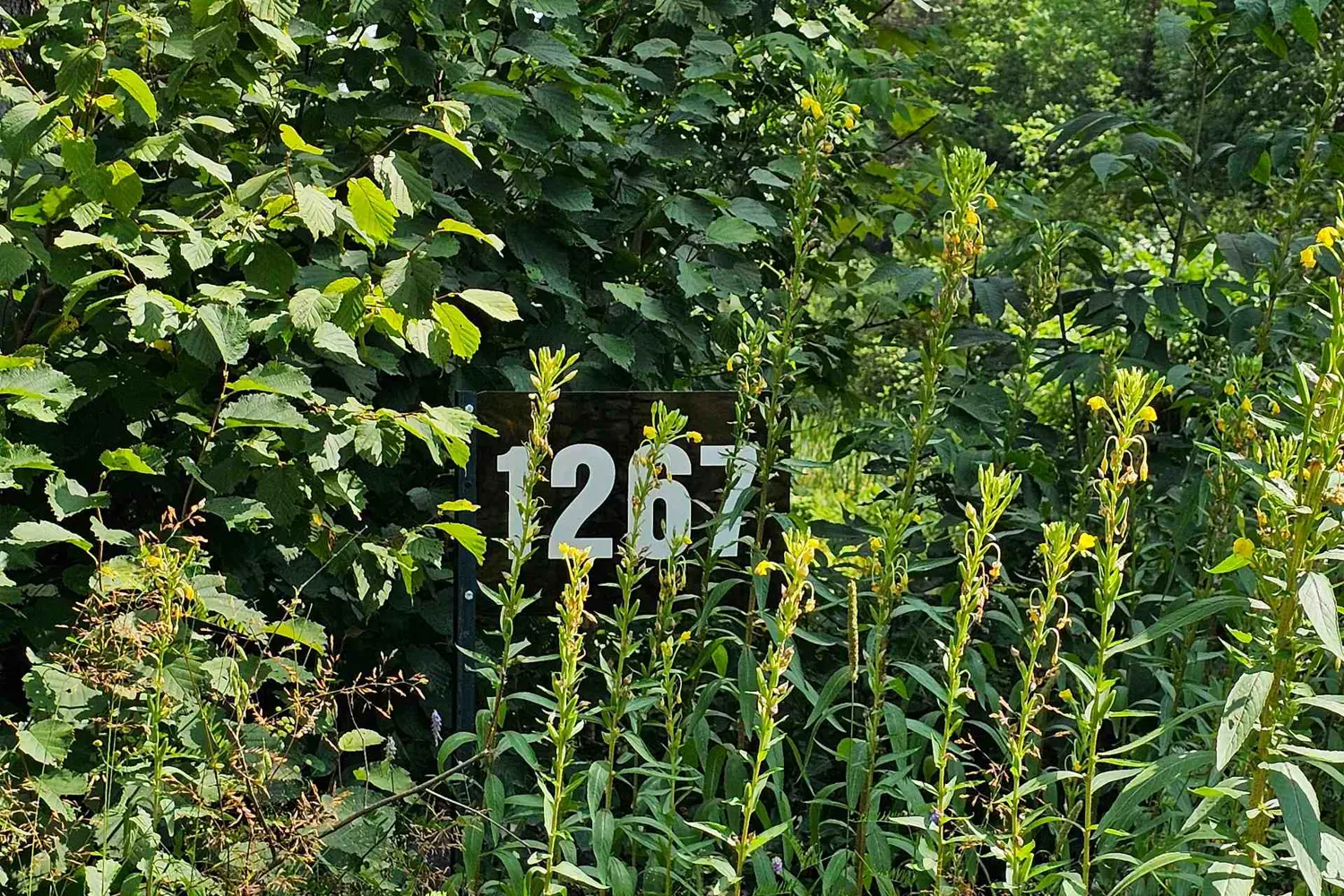 1267 Snake Creek Road