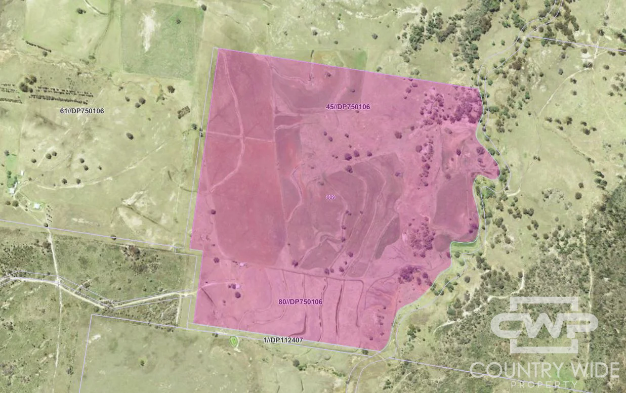 Additional image 22 of 989 South Valley Road, Rocky Creek NSW 2371